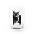 mata▒asita./のneko no meeko Water Glass :front