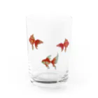 羊歯のゆれる金魚 Water Glass :front