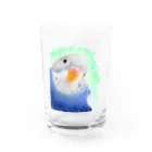 まめるりはことりのセキセイインコ　オパーリン大【まめるりはことり】 Water Glass :front