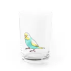 まめるりはことりのごきげんセキセイインコ【まめるりはことり】 Water Glass :front