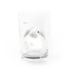 めんふぃすのうさぎ Water Glass :front