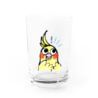 art極楽鳥のオカメインコのルビー Water Glass :front