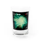 古春一生(Koharu Issey)のFaint Hope Water Glass :front