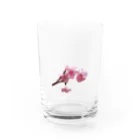 SOUTH ISLAND BLUE 沖縄店のサクラNAKIJINSON Water Glass :front