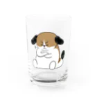 マツバラのもじゃまる納得 Water Glass :front