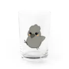 ソケットれんちの烏骨鶏ドット（歩行スタイル） Water Glass :front