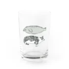 喫茶こぐまやの猫とアザラシ Water Glass :front