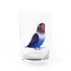 まめるりはことりのボタンインコ　おすましコバルトブルー【まめるりはことり】 Water Glass :front