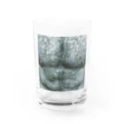 ハラシバキ商店のセディショナリーズ Water Glass :front