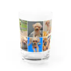 ma_yu_miのノエルズライフ Water Glass :front