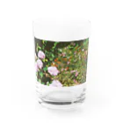 あこがれの花畑2 Water Glass :front