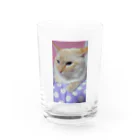 ねことお休みどころ　しらたまの【シャム氏】クリアコップ Water Glass :front