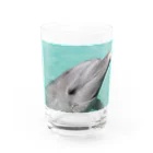 smile牧場のイルカちゃん Water Glass :front