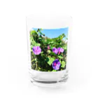 chachakoo5の夏の花 Water Glass :front