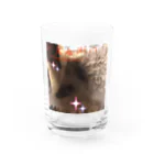 ハリネズミの針座右衛門くんの針座右衛門くん Water Glass :front