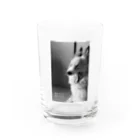 シャンティ　フォトのあくび幸太郎 Water Glass :front