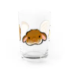 ラパンベーカリー 2号店のコッペパンズ Water Glass :front