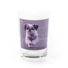 心メロンの心ちゃんグッズ Water Glass :front