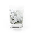 sakamichi_goodsの咲いてる Water Glass :front