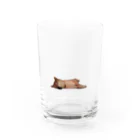 kiichacoの-犬- よこたわるみかん Water Glass :front