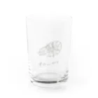 qqqqlmのオウムガイ 石灰 Water Glass :front