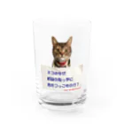 ネコの理不尽のネコはなぜ？（こたえ付き） グラス前面