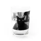 shootingcatのモノクロにゃー！！ Water Glass :front