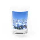 心メロンのネモフィラブルー💙 Water Glass :front