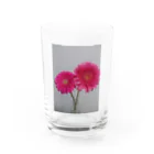 Allium caeruleum アリウム コエルレウムのガーベラ Water Glass :front