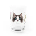 wokasinaiwoのバースディパリスと仲間たち Water Glass :front