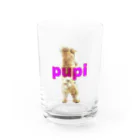 pupiのpupi グラス前面