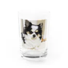 チワワのクレバーさんのチワワのクレバーさん Water Glass :front