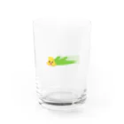 おいも屋のぶーんめんぼまる Water Glass :front