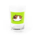 ミッコラは家から出ないのエリートハムスター Water Glass :front