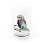 Gen_Designのトリ・バード🐤 Water Glass :front