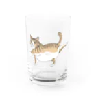 OGNdesignの猫　ねこ　NO.34 Water Glass :front