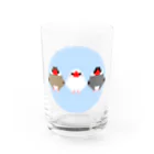 rodentのドット文鳥ズ Water Glass :front