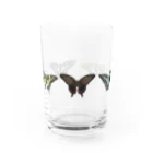 kitaooji shop SUZURI店のアゲハ蝶5種 Water Glass :front