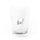 フレンチブルドッグうぱのフレンチブルドッグ Water Glass :front