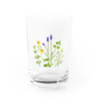 ypocketのハーブの図鑑 Water Glass :front