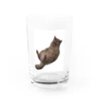 白湯の人の家のネコ Water Glass :front