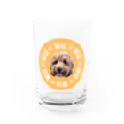 よっしぃのwill Water Glass :front