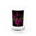 店ショップのブラックアンドピンク Water Glass :front