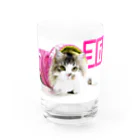 ラガマフィンの36さんの丸ドットモザイクピンクパーカー36CAT Water Glass :front