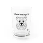 ▱個性の渋滞▱//storeのｸﾜｯｶﾜﾗﾋﾞくん Water Glass :front