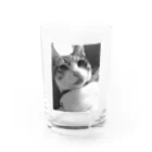 ほぼひめ。の三毛猫のひめ　4 Water Glass :front