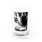 虎徹 雷蔵丸のうちの猫 Water Glass :front