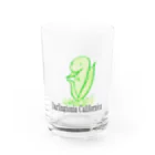 天使のやすらぎのDarlingtonia Californica Water Glass :front