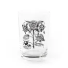 KIDNEYのTHE SUN mother Water Glass :front