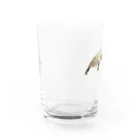 Canako Inoueののびている猫 Water Glass :front